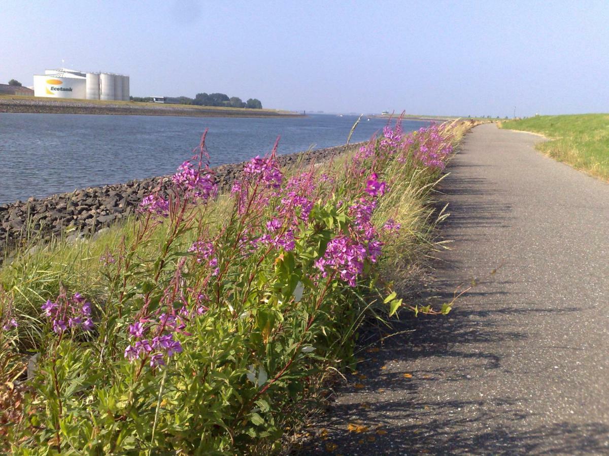 וומלדינגה Middensluis Vakantiehuis מראה חיצוני תמונה